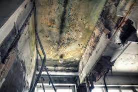 Professional Mold Inspection in Waterloo, WI